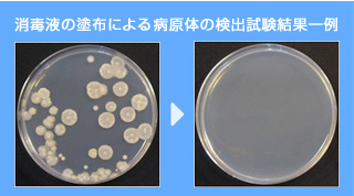 消毒液の塗布による病原体の検出試験結果一例